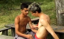 Passionate twinks make out alfresco