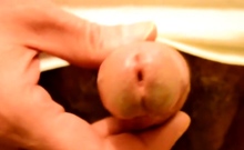 Sperm Montage 12