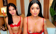 Amateur busty shemale fucking ass of tranny