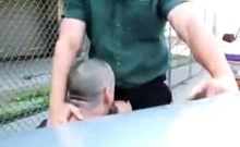 Daddy's Outdoor Lunch Break Blowjob