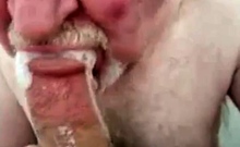 Amateur Daddy Bear Sucks Cock